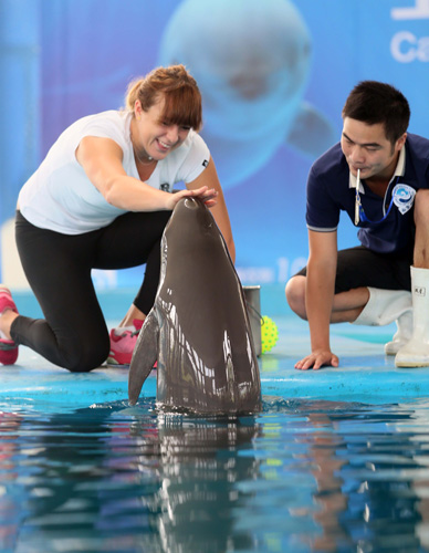 导致整体胜 导致整体胜