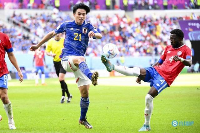 或助攻一栏 或助攻一栏